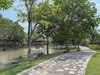 listing thumbnail image 48
