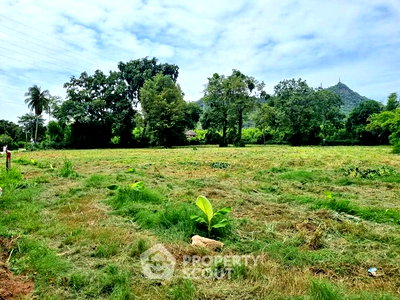 ขายที่ดิน : ที่ดินสำหรับปล่อยขาย 13,120 ตารางเมตร แถว ใน บางพระ (ID 2793482)