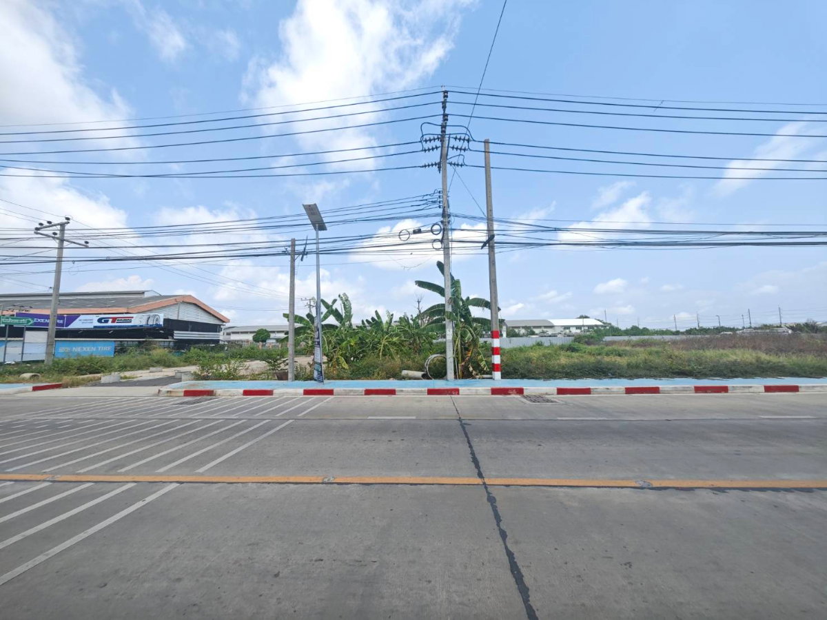 รูป เสนอให้เช่าดิน(สามารถเช่าแบบครึ่งแปลงได้) - รูปที่ 2/6