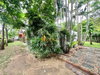 listing thumbnail image 36