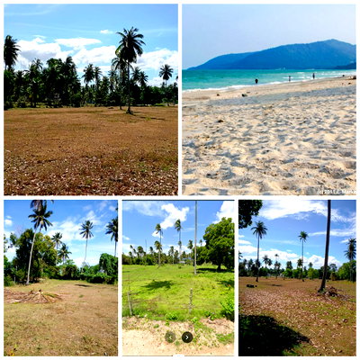 ที่ดิน ขนอม นครศรีธรรมราช : ขายที่ดินชายทะเล  หาดหน้าด่าน ขนอม จ.นครศรีธรรมราช