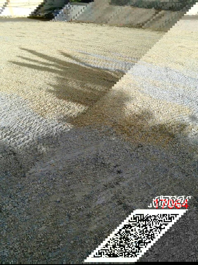 รูป เช่า ที่ดินแปลงสวยถมและพร้อมรั้วทำกำแพงแล้ว ซอยอ่อนนุช 20 เลดีมากใกล้ BTSอ่อนนุช - รูปที่ 4/4