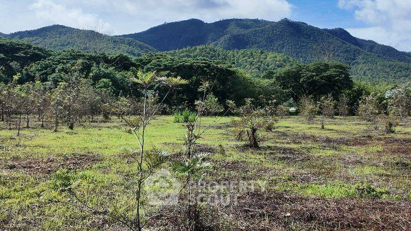 picture 9,984 m² Land for Sale in On Klang (ID 2709790) - 2/4