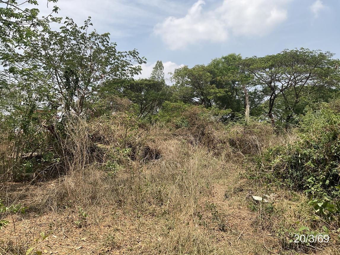 picture LAND 389.9 Sq.w. Muang Khon Kaen Khon Kaen for 3.4M - 16/24
