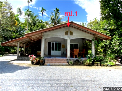 Houses for sale Nakhon Sri Thammarat : HOME 640 Sq.w. Phra Phrom Nakhon Sri Thammarat for 2.1M