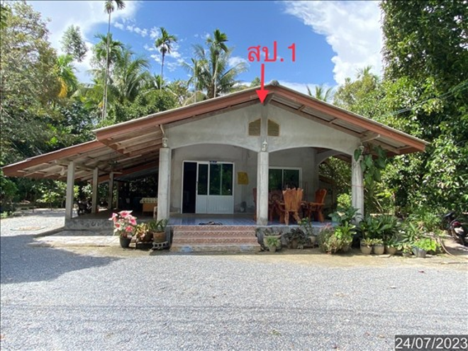 picture HOME 640 Sq.w. Phra Phrom Nakhon Sri Thammarat for 2.1M - 1/14