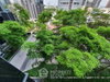 listing thumbnail image 13