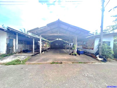 บ้านเดี่ยว ตรัง : บ้านเดี่ยว 127.5 ตร.วา กันตัง ตรัง 1.6M