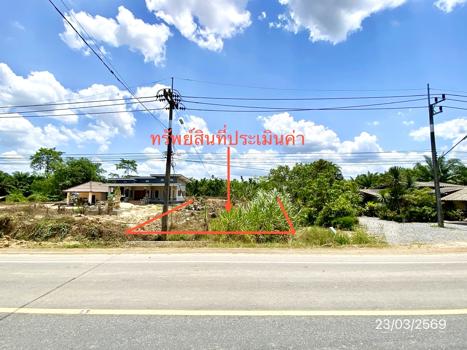 รูป ที่ดินว่างเปล่า 109.8 ตร.วา นาบอน นครศรีธรรมราช 893,000 - รูปที่ 9/12