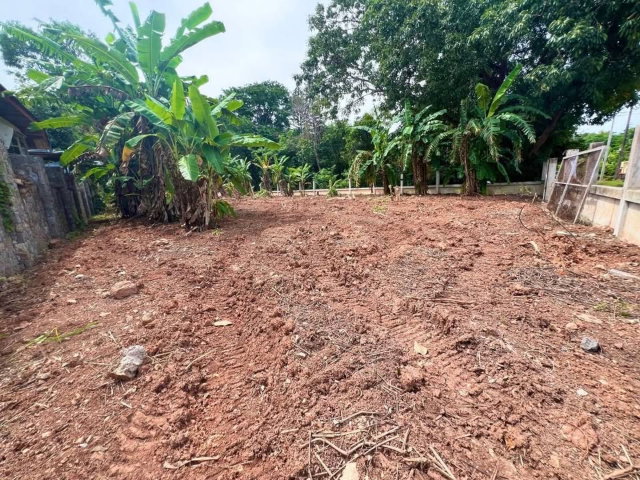 รูป ที่ดิน ตรงข้าม Sunflower Residence , มีเพื่อนบ้าน ใกล้ ร้านอาหารริมทะเล เซเว่นหน้าปากซอย เหมาะทำบ้านพักตากอากาศ หรือ ลงทุน ซื้อเก็บ ฯ - รูปที่ 7/13