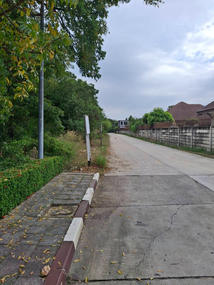 picture 🌿 Prime 110 Rai Land for Sale on Asian Highway – Ideal for Large-Scale Development - 3/8
