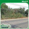 listing thumbnail image 15