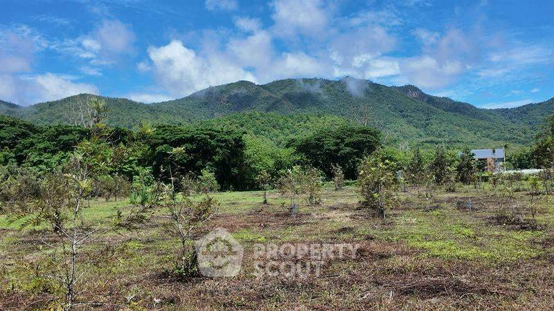 picture 9,984 m² Land for Sale in On Klang (ID 2709790) - 4/4