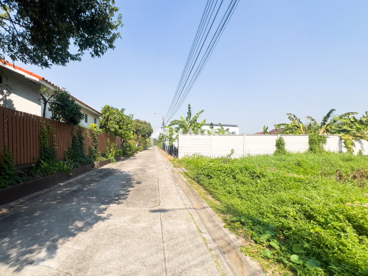 picture Land Soi Chimphli 28 / 100 Sq.wa #LRP2036 - 16/20
