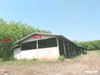 listing thumbnail image 16