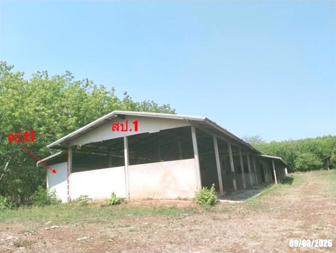 รูป บ้านเดี่ยว 925 ตร.วา หนองหาน อุดรธานี 5.1M - รูปที่ 17/34