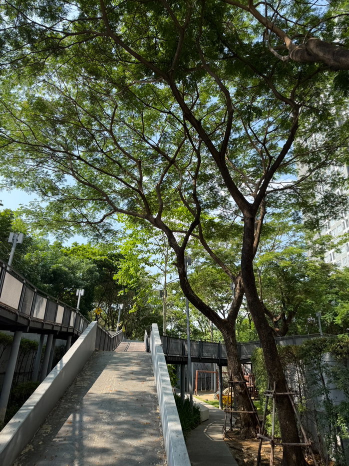 รูป ให้เช่า คอนโด IDEO O2 บางนา ตึกB ชั้น 14 (Garden & Blue Lagoon View) - รูปที่ 16/23