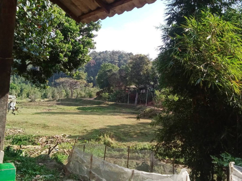 รูป ขายยกแปลง ที่ดินสวนสวย ติดลำธาร ล้อมรอบด้วยภูเขา พร้อมโรงเรือน เหมาะกับสร้างบ้านพัก ฟาร์มเกษตร บรรยากาศดีมาก-SW003589 - รูปที่ 13/14