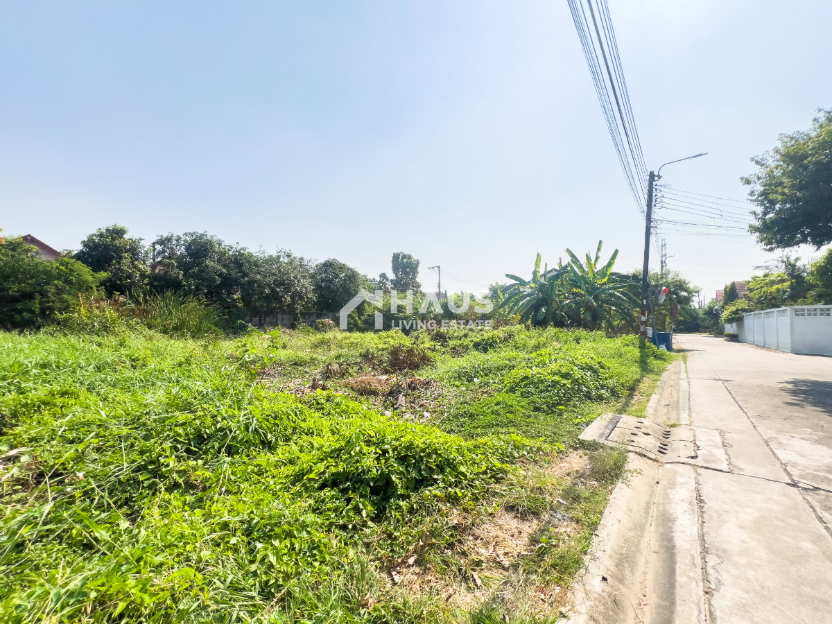 picture Land Soi Chimphli 28 / 100 Sq.wa #LRP2036 - 12/20