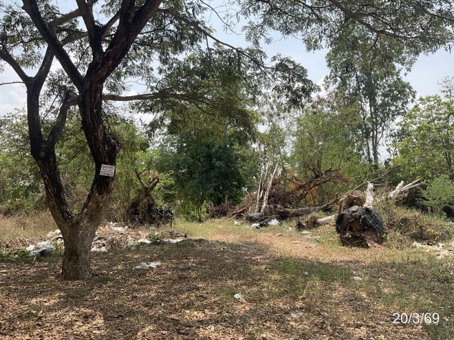 picture LAND 389.9 Sq.w. Muang Khon Kaen Khon Kaen for 3.4M - 4/24