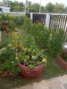 listing thumbnail image 5