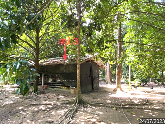 picture HOME 640 Sq.w. Phra Phrom Nakhon Sri Thammarat for 2.1M - 3/14