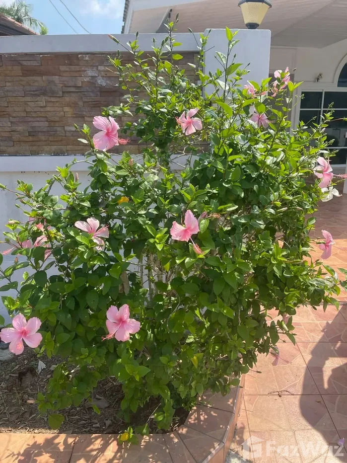 รูป วิลล่าให้เช่า 3 ห้องนอน ในโครงการ บ้าน ดุสิต พัทยา วิลเลจ 1 6174296 - รูปที่ 32/58