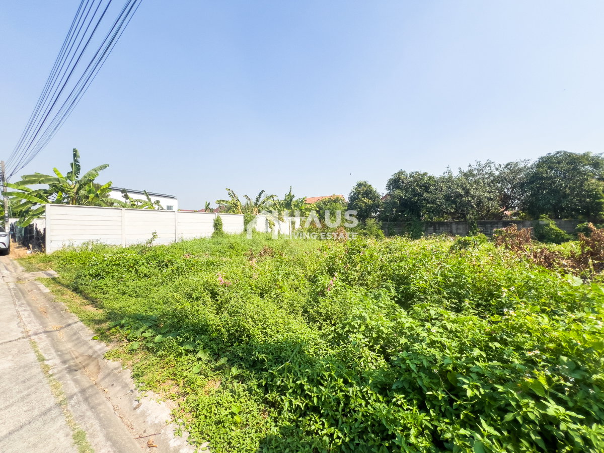 picture Land Soi Chimphli 28 / 100 Sq.wa #LRP2036 - 15/20