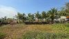 listing thumbnail image 29