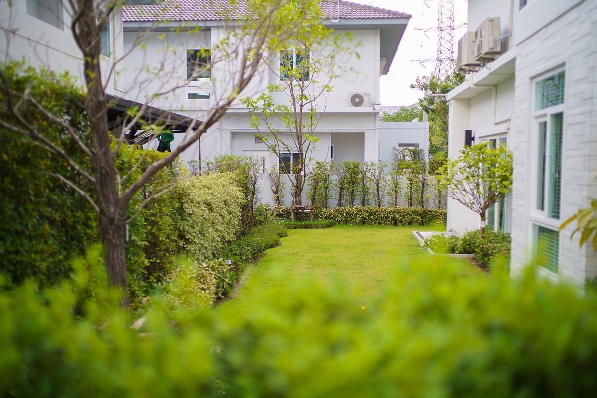 รูป 🏠 ให้เช่าบ้าน : Mantana Bangna - Wongwaen (มัณฑนา บางนา - วงแหวน)   รหัสทรัพย์ | 📌LNP-H958 - รูปที่ 5/13