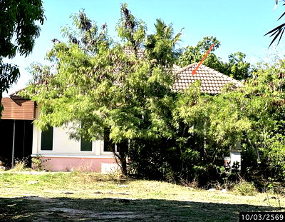 ขายบ้านเดี่ยว : บ้านเดี่ยว 179.1 ตร.วา วารินชำราบ อุบลราชธานี 2.6M