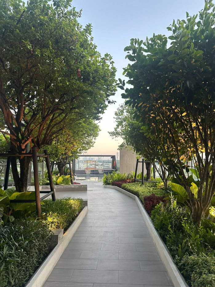 รูป ชั้นสูง วิวดี 🏙️(For Rent/ให้เช่า) IDEO Sukhumvit Rama 4 / ไอดีโอ สุขุมวิท-พระราม 4 - รูปที่ 19/19