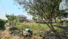 listing thumbnail image 26