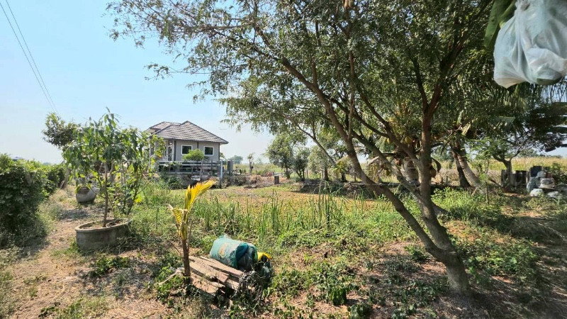 รูป บ้านสวน 250 ตารางวา ถนนรังสิต-นครนายก คลอง 14 องครักษ์ - รูปที่ 27/35