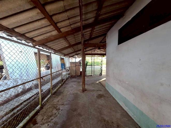 picture HOME 127.5 Sq.w. Kantrang Trang for 1.2M - 4/24