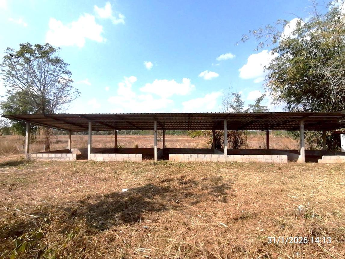 picture HOME 800 Sq.w. Sawang Daen Din Sakon Nakhon for 2.7M - 24/48