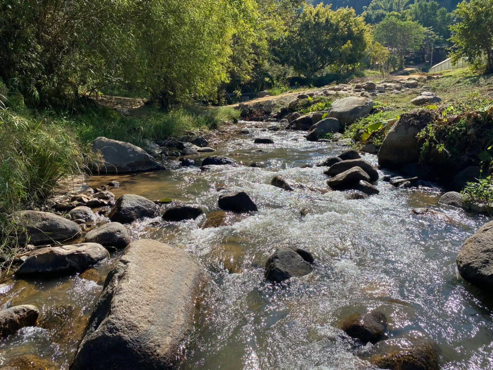 รูป ขายยกแปลง ที่ดินสวนสวย ติดลำธาร ล้อมรอบด้วยภูเขา พร้อมโรงเรือน เหมาะกับสร้างบ้านพัก ฟาร์มเกษตร บรรยากาศดีมาก-SW003589 - รูปที่ 4/14
