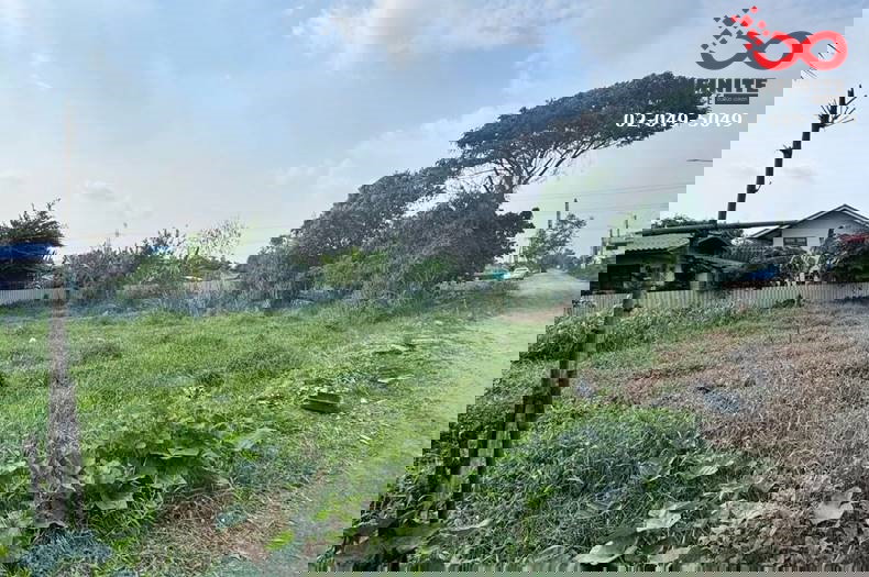 รูป ขายที่ดิน 366 ตรว. ถนนลำไทร หนองจอก ติดถนน 2 ด้าน ปลดล็อคทุกไลฟ์สไตล์ บนที่ดินผืนสวย - รูปที่ 4/6