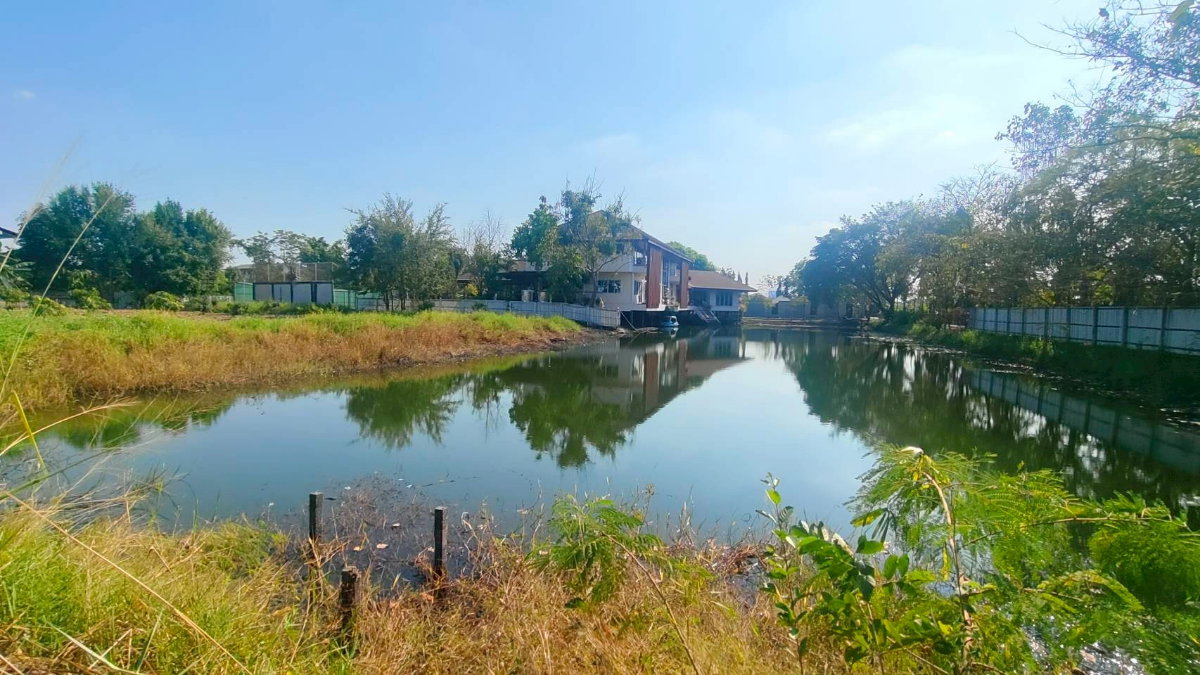 รูป  ขายที่ดิน ทำเลทใกล้ ถนนแจ้งวัฒนะ เนื้อที่ 2 ไร่ 93 ตารางวา ซอย เเสงหวี  - รูปที่ 8/13