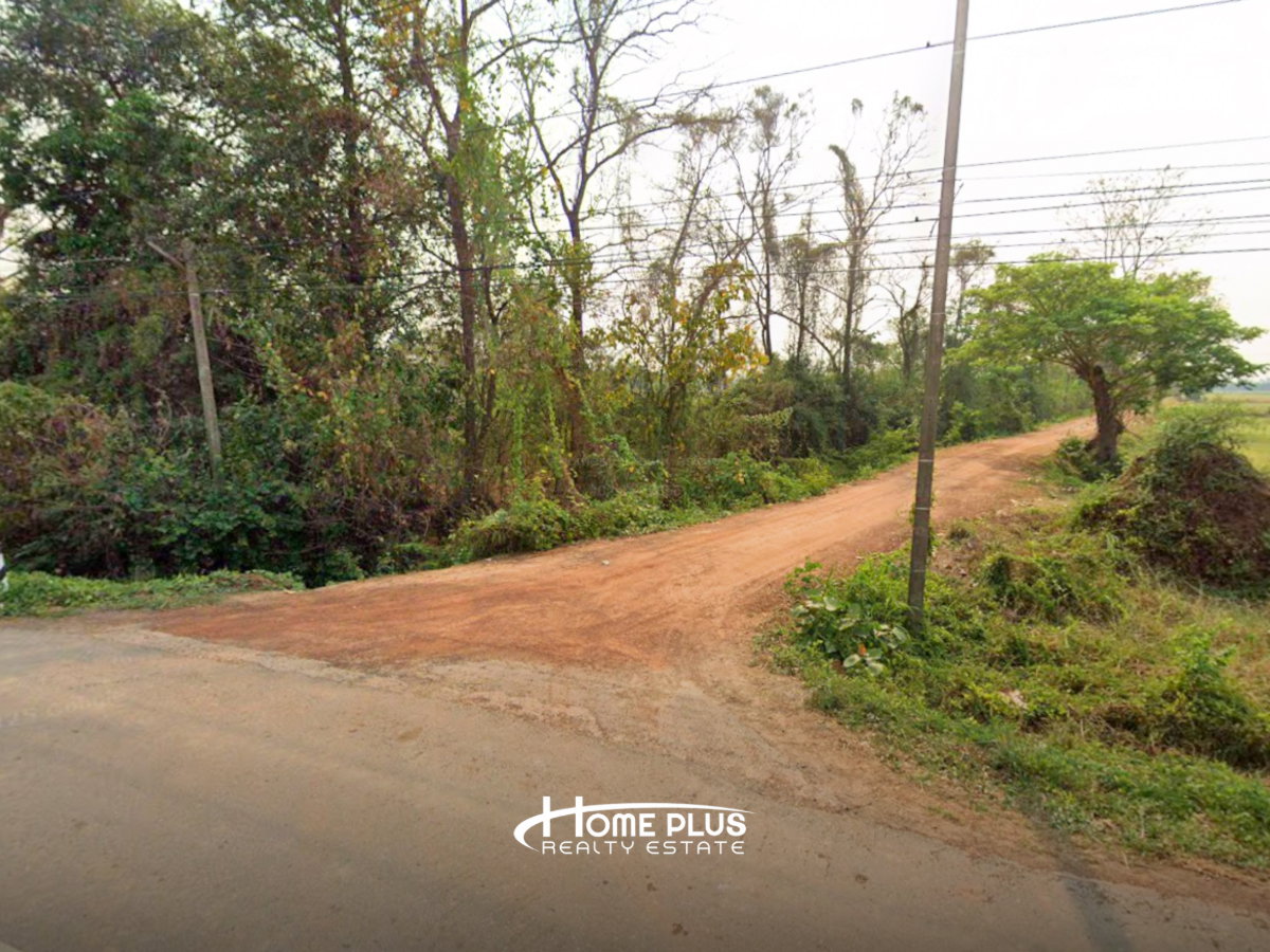 รูป ที่ดินตำบลวัดตายม 23 ไร่ ใกล้ถนนหมายเลข 11 อำเภอบางกระทุ่ม จังหวัดพิษณุโลก - รูปที่ 4/7