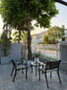 listing thumbnail image 12