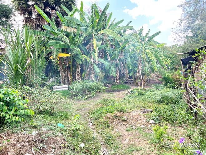 รูป ที่ดินว่างเปล่า 142 ตร.วา เมืองสระแก้ว สระแก้ว 871,000 - รูปที่ 5/16