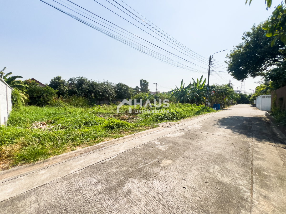 picture Land Soi Chimphli 28 / 100 Sq.wa #LRP2036 - 17/20