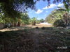 listing thumbnail image 30