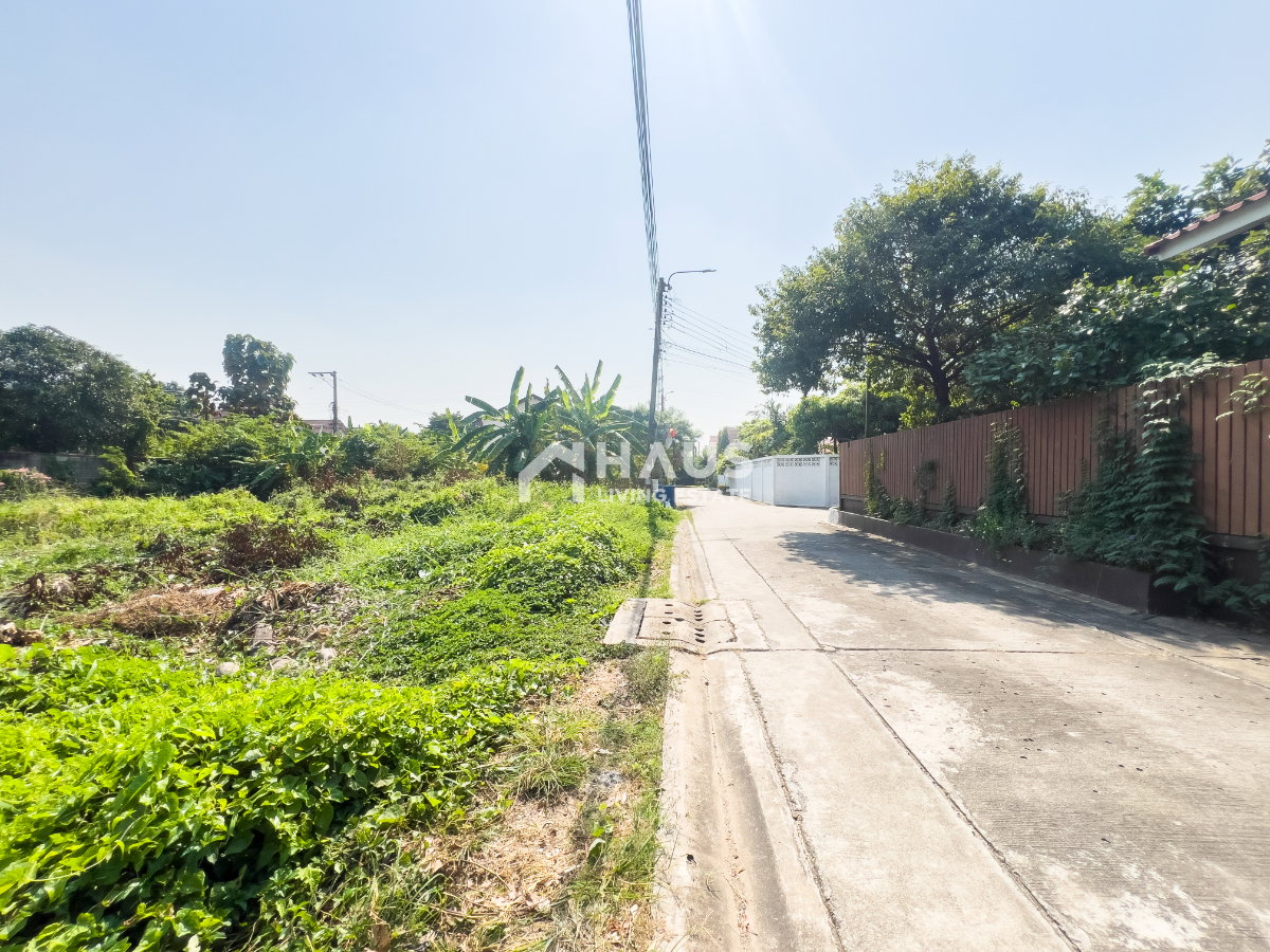 picture Land Soi Chimphli 28 / 100 Sq.wa #LRP2036 - 13/20