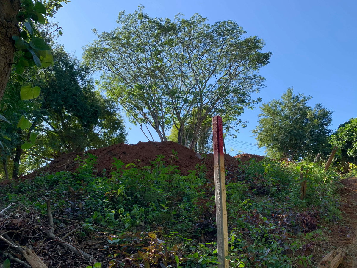 picture LAND FOR LEASE, MAE CHAM CHIANG MAI BYPASS DOI INTHANON - 7/19