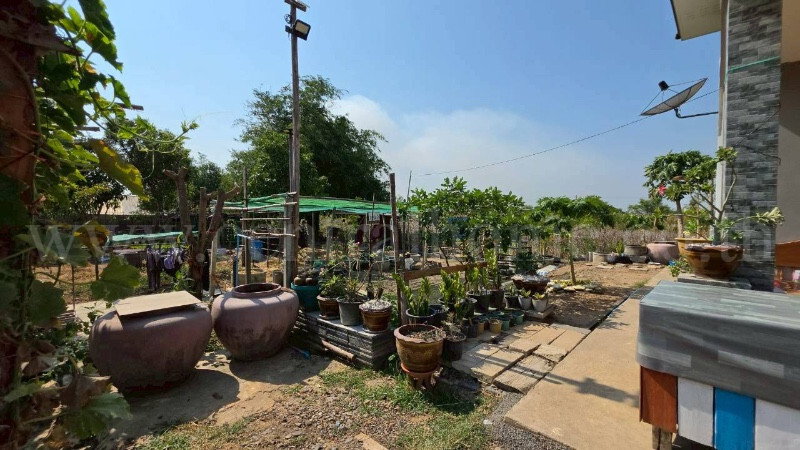 รูป บ้านสวน 250 ตารางวา ถนนรังสิต-นครนายก คลอง 14 องครักษ์ - รูปที่ 34/35