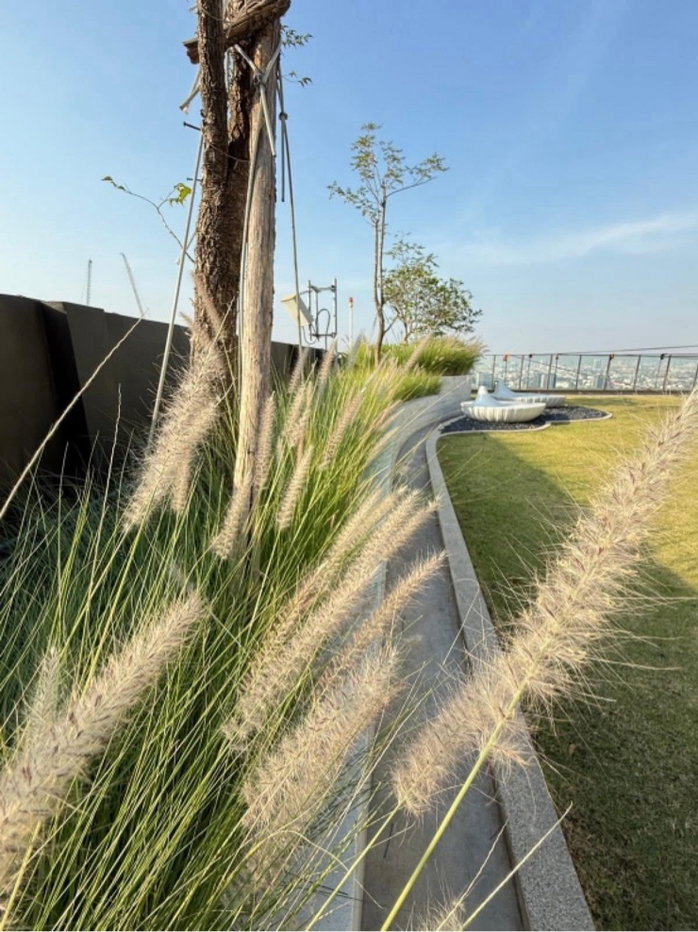 รูป Condo: Altitude Unicorn Sathorn - Thapra   (High-rise condo next to BTS Talat Phlu 0 metres)  - รูปที่ 13/57