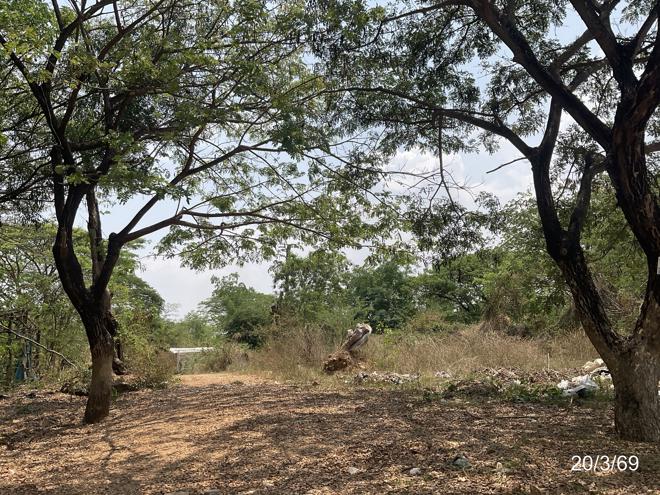 picture LAND 389.9 Sq.w. Muang Khon Kaen Khon Kaen for 3.4M - 5/24