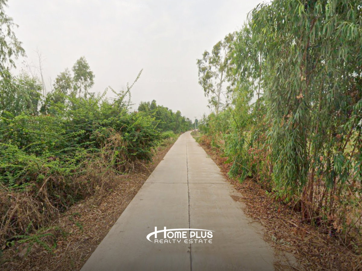 รูป ที่ดินตำบลวัดตายม 23 ไร่ ใกล้ถนนหมายเลข 11 อำเภอบางกระทุ่ม จังหวัดพิษณุโลก - รูปที่ 5/7